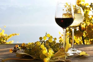 Madeira: Tour durch die Weinberge mit Weinverkostung und Skywalk