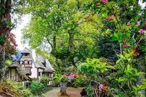 Madeira: Omvisning til fots - Queimadas / Caldeirão Verde