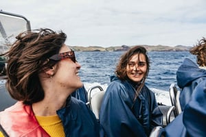 Von Machico aus: Madeira Wal- und Delfinbeobachtung Bootstour