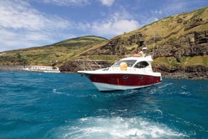 Nyttårsfyrverkeri på den private yachten på Madeira