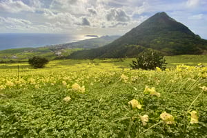 Pico Castelo e Pico Facho Vereda: passeggiata con vista spettacolare