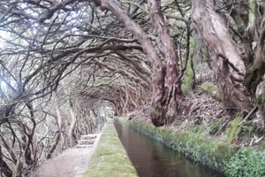 Privat - 25 Fontes og Risco vandfald guidet tur