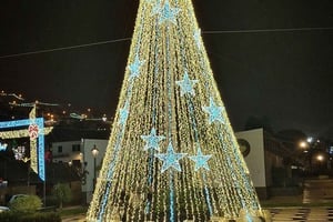 Private East of Madeira Christmas Lights Tour
