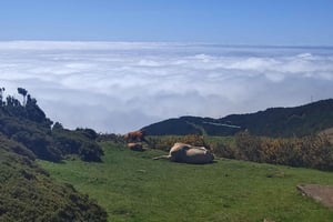 Privater Minibus mit 8 Plätzen