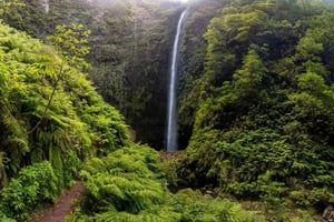 Queimadas Caldeirão Verde Wandeling over het eiland Madeira