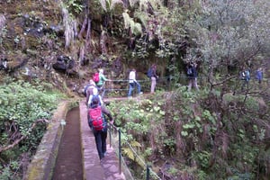 Queimadas Natuurpark 5 Uur Wandeling met gids