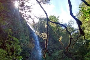 Rabaçal: Lagoa do Vento, Levada Risco en Levada 25 Fontes