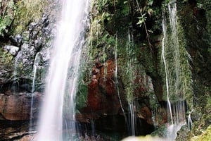 Naturspaziergang in Rabacal: Seen & Brunnen