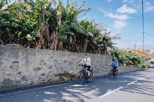 Tour autoguiado en bicicleta eléctrica por carretera: de Funchal a Câmara de Lobos