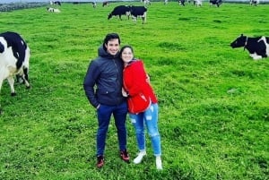 Terceira Island: Full Day Van Tour