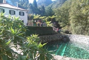 マデイラ島東部：1日ツアー（ラム酒の試飲付き）