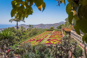 Ogród botaniczny Tuk Tuk - Madera