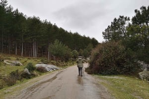 Из Мадрида: однодневная поездка в национальный парк Гвадаррама