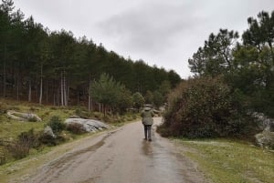 From Madrid: Day Trip to Guadarrama National Park
