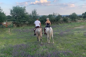 From Madrid: Horseback riding Experience