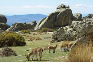 De Madrid: excursão de um dia a pé pela Serra de Guadarrama