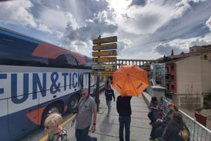 Da Madrid: Tour di un giorno con storia e fascino di Segovia