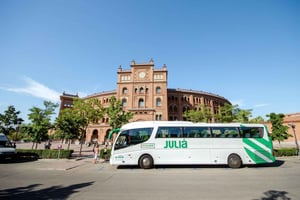 Visite touristique de 3 heures à Madrid