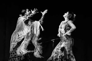 Мадрид: Шоу фламенко в кафе Ziryab