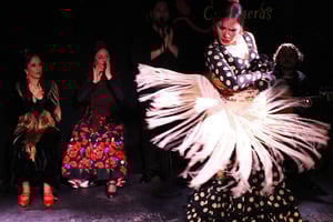Madrid: Flamenco Show with Tapas and Wine Tour