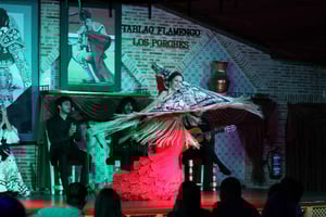 Madrid: Los Porches Flamenco Show med tapas og vinbillet