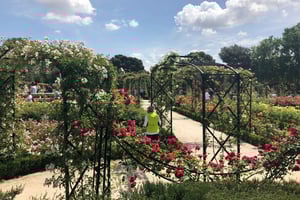 Madrid: Prado Avenue og Retiro Park guidet tur