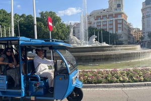Madrid Privattour und Panorama-Tour im Tuk Tuk mit Abholung (90 Min.)