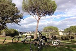 Madrids flodside og Casa de Campo elektrisk cykeltur