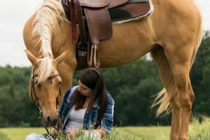 Madrid: Sierra de Guadarraman ratsastuskokemus