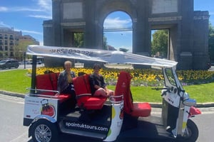 Madrid med Eco Tuk: Privat tur, vælg selv varigheden!