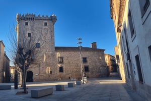 Avila en Segovia: Privétour met minibus vanuit Madrid