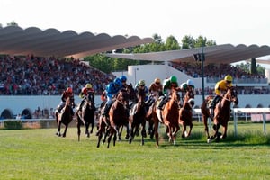 Visite guidée des courses/hippodrome de la Zarzuela-Madrid