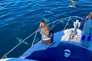 Depuis Benalmádena et Torremolinos : excursion en bateau pour l'observation des dauphins