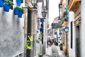 Z Costa del Sol: 1-dniowa wycieczka do Kordoby Czas wolny