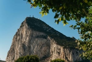 From Malaga and Costa del Sol: Gibraltar Tour