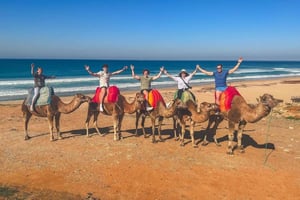 De Malaga : excursion à Tanger avec ferry, chameau et souks