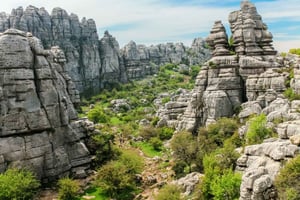 Från Malaga: Vandringstur i Torcal de Antequera