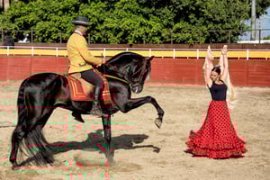 Fuengirola: Spanish Horse Show with Optional Dinner/Flamenco
