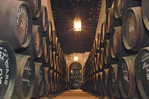 Jerez a partir da Costa del Sol: adegas com prova de vinhos e espetáculo equestre