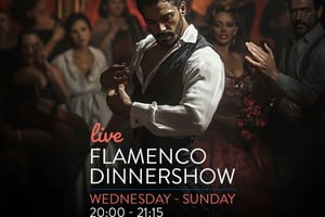 Málaga: authentieke flamenco-dinershow in restaurant VinoMio