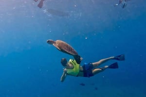 Rejs wycieczkowy w Benalmádenie z nurkowaniem z rurką, zjeżdżnią wodną i lunchem