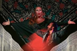 Málaga: Live Flamenco Show at Flamenco Alegría