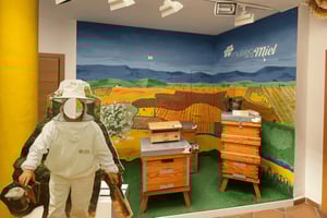 Malaga: pääsylippu hunajamuseoon