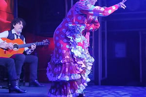 Malaga: PREMIUM TAPAS-TUR Paella, tapas, vingård og flamenco