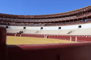 Malaga: Prywatna wycieczka z przewodnikiem po Bullring i Immersive Museum