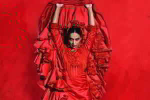 Malaga: Teatro Flamenco Malaga Live Flamenco Show