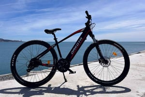 Mountainbike elcykeluthyrning i Malaga