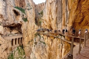 Nerja, Torrox, or Torre del Mar: Caminito del Rey Day Trip