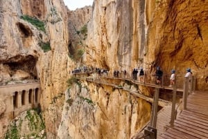 Dagstur till Caminito del Rey från Nerja, Torrox eller Torro del Mar