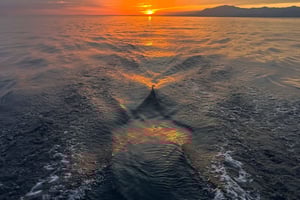 Wypożyczalnia łodzi w Benalmádena